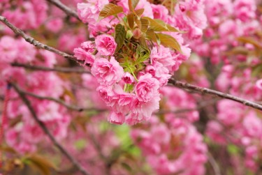 常州金坛区5线下个人借款平台一站式服务，轻松解决资金难题