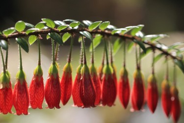 常州金坛区5零用贷短借：轻松解决临时资金需求