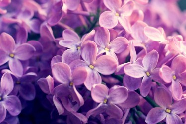 常州金坛区5企业急用钱贷款攻略：快速融资解燃眉之急